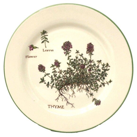 Williams Sonoma Culinary Herbs Luncheon Plates 8.75" Salad Portugal Set of 3 - Picture 5 of 12